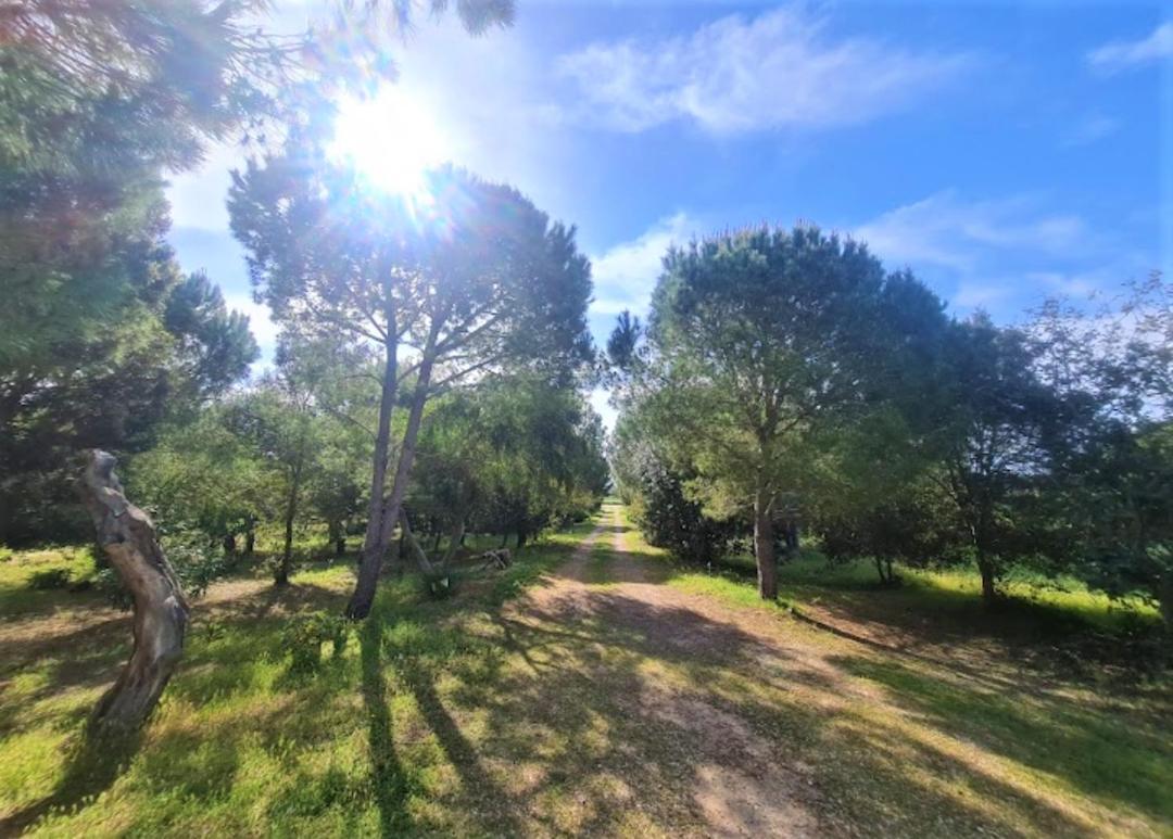 Villa Il Lentischio Del Sinis Putzu Idu Exterior foto